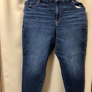 American Eagle Jeans Womens 20 Blue Next Level Jeggings Curvy AE